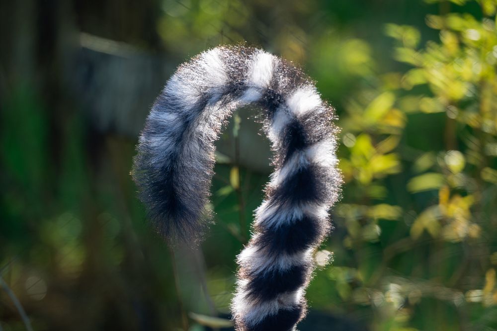 Photograph by esti lahat