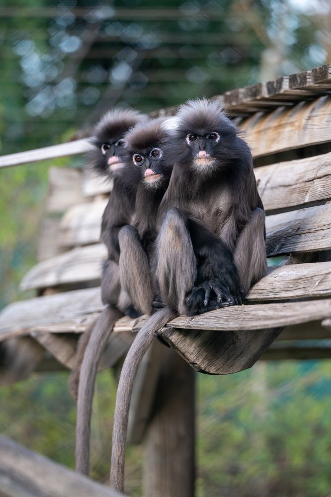 Photograph by esti lahat