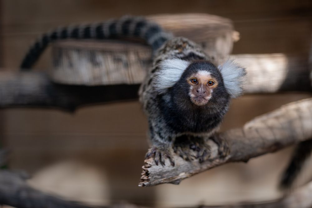 Photograph by esti lahat