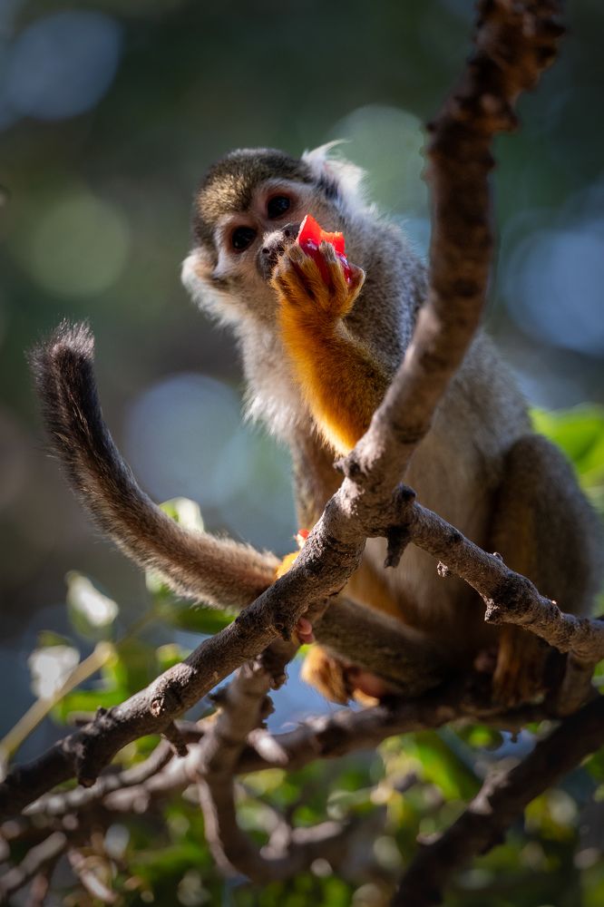 Photograph by esti lahat