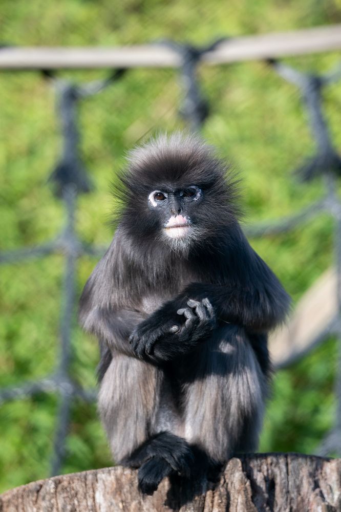 Photograph by esti lahat