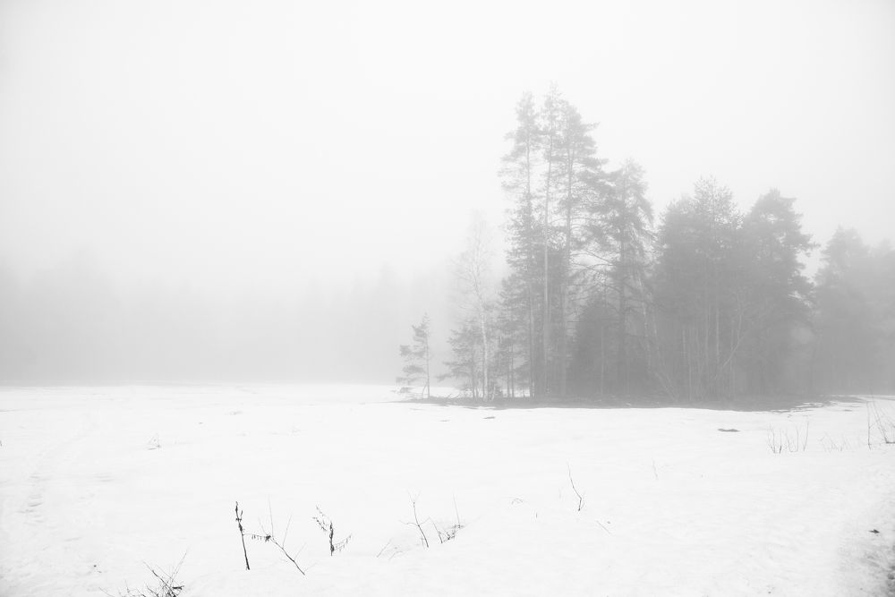 Photograph by Ольга Лобачёва