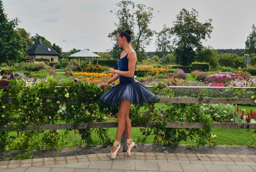 Лето и цветы.