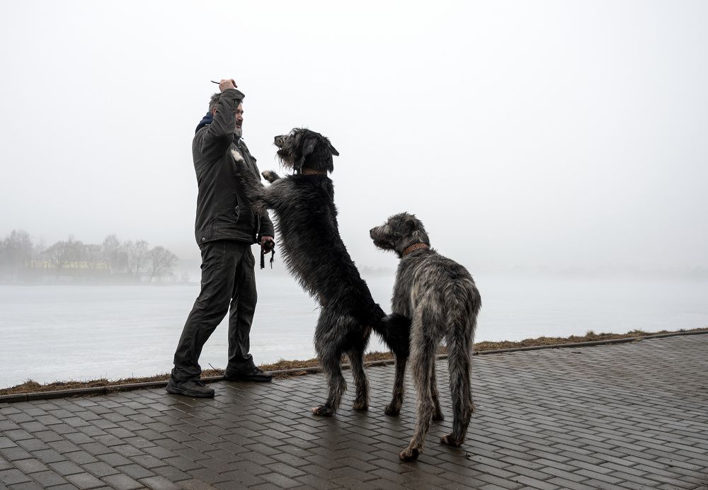 Фотография автора Ольга Лихтарь