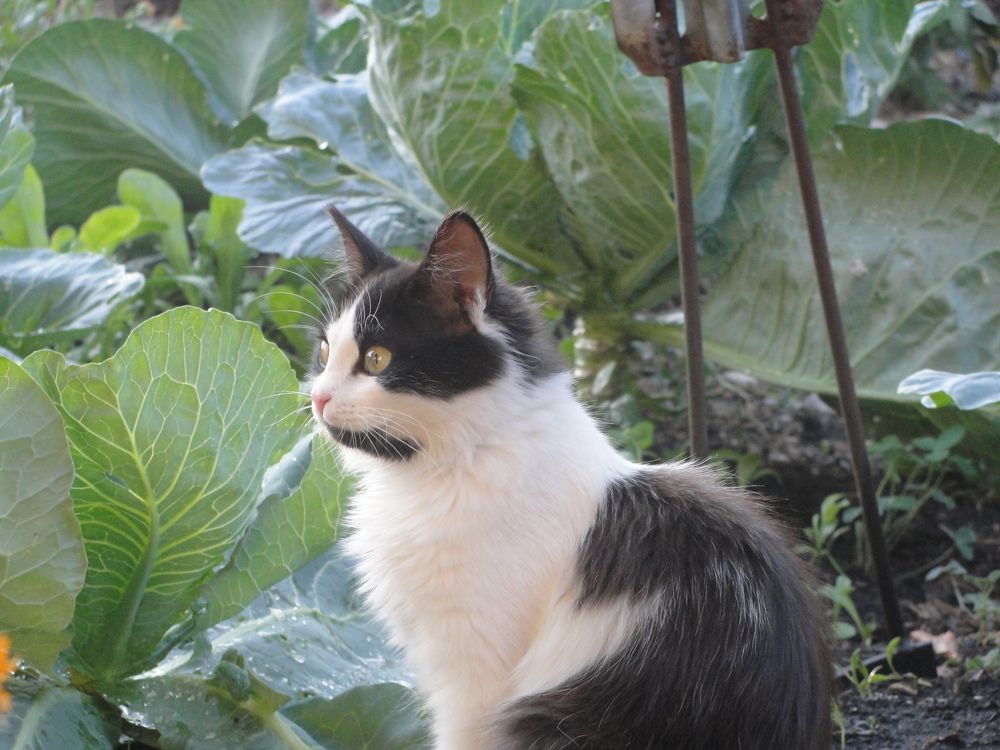 Photo #11711326