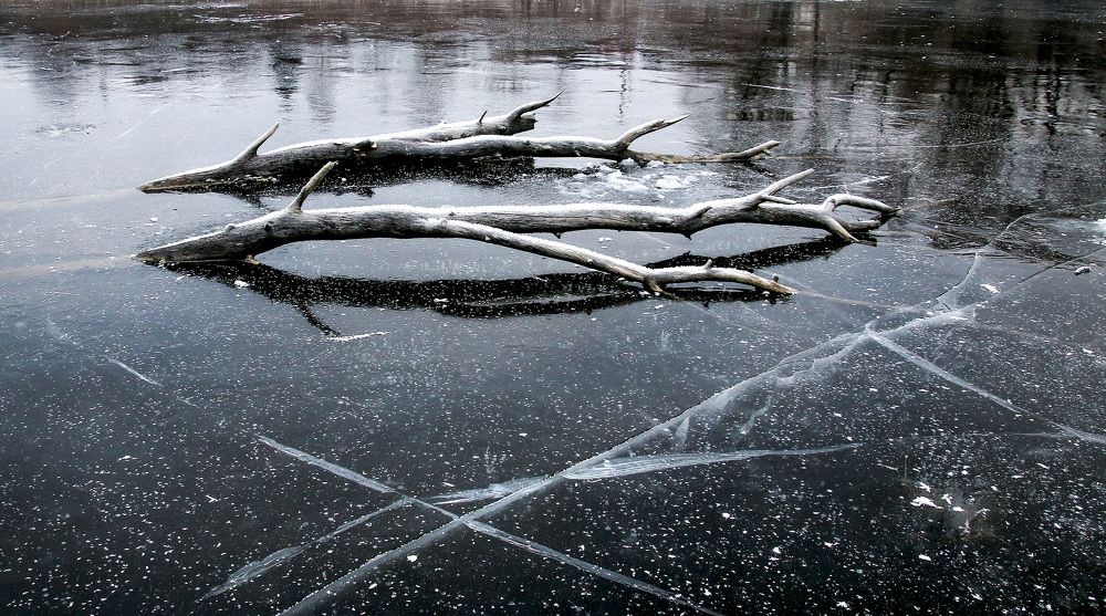 Photograph by Вячеслав Лычков
