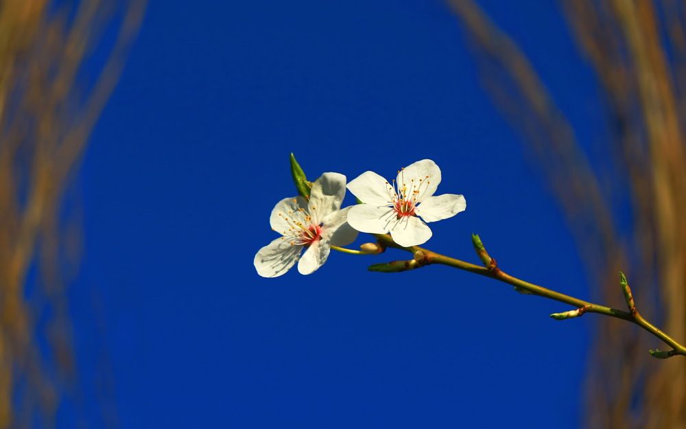Фотография автора Сергей Кульков