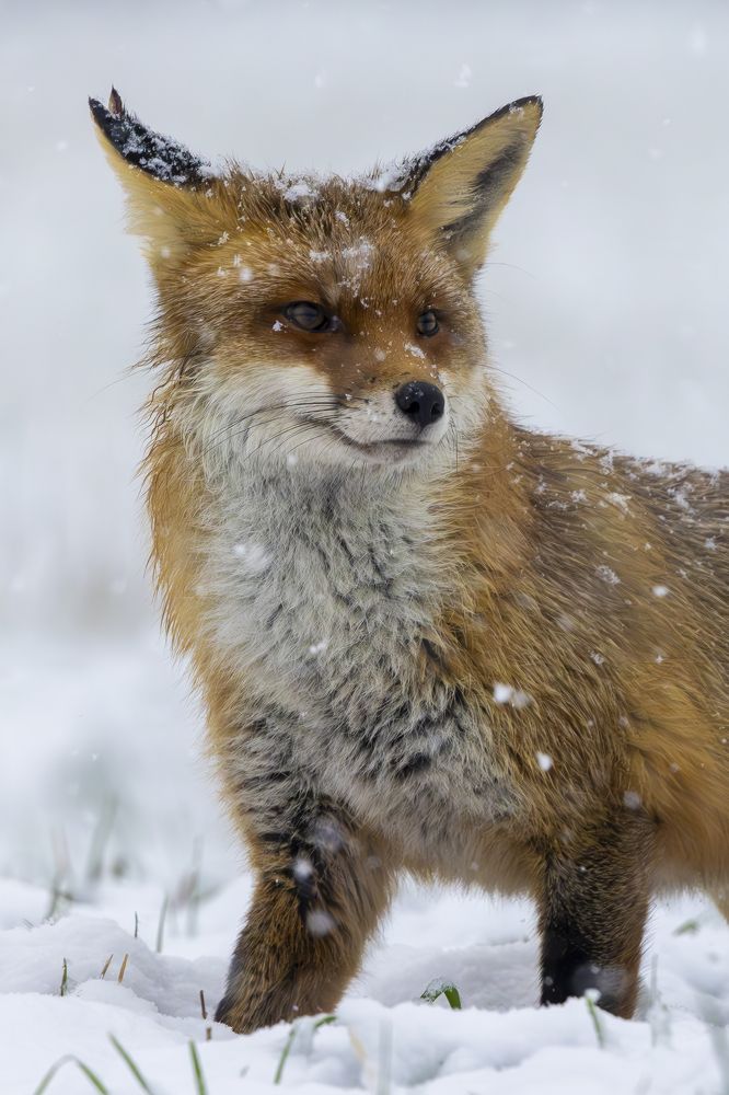 Photograph by Ellen Lichtenheldt