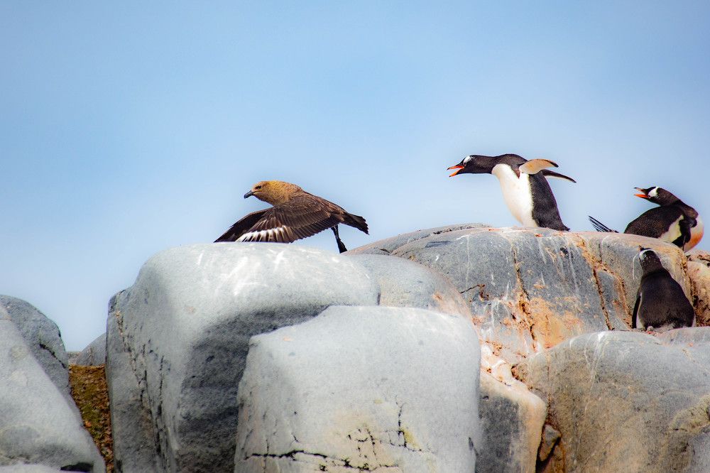 Photograph by Писарев Василий