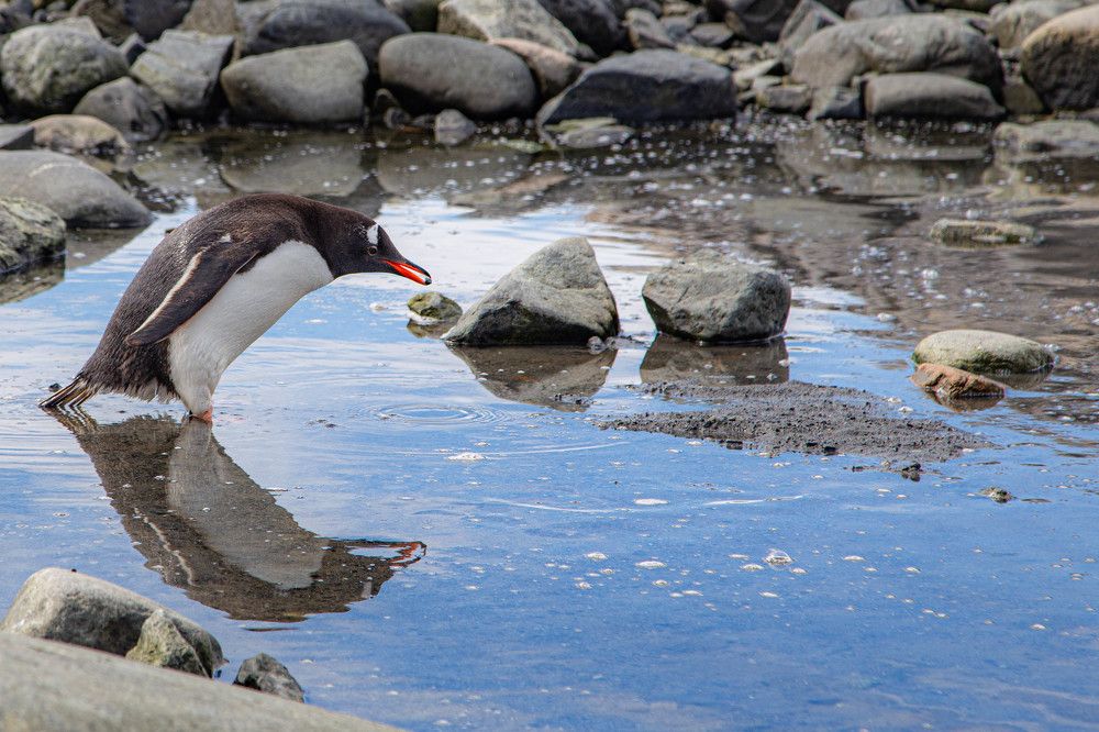 Photograph by Писарев Василий