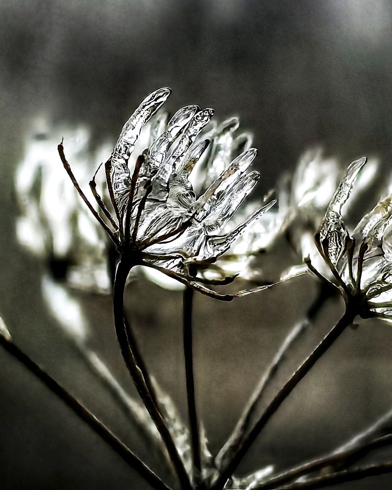Photograph by Анна Казакова