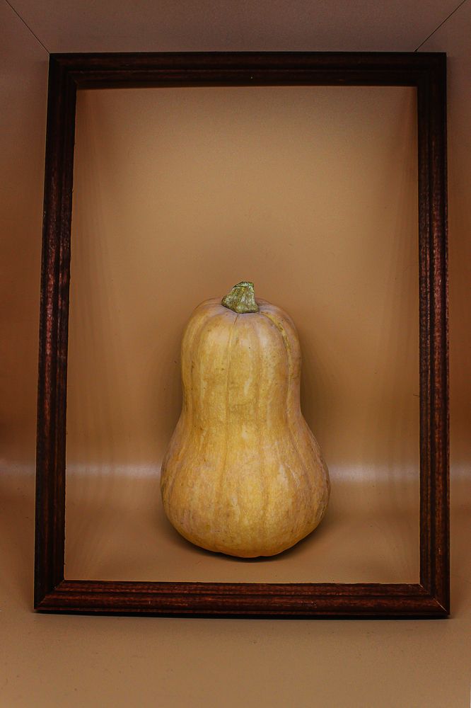 Photograph by Елена Беланенко