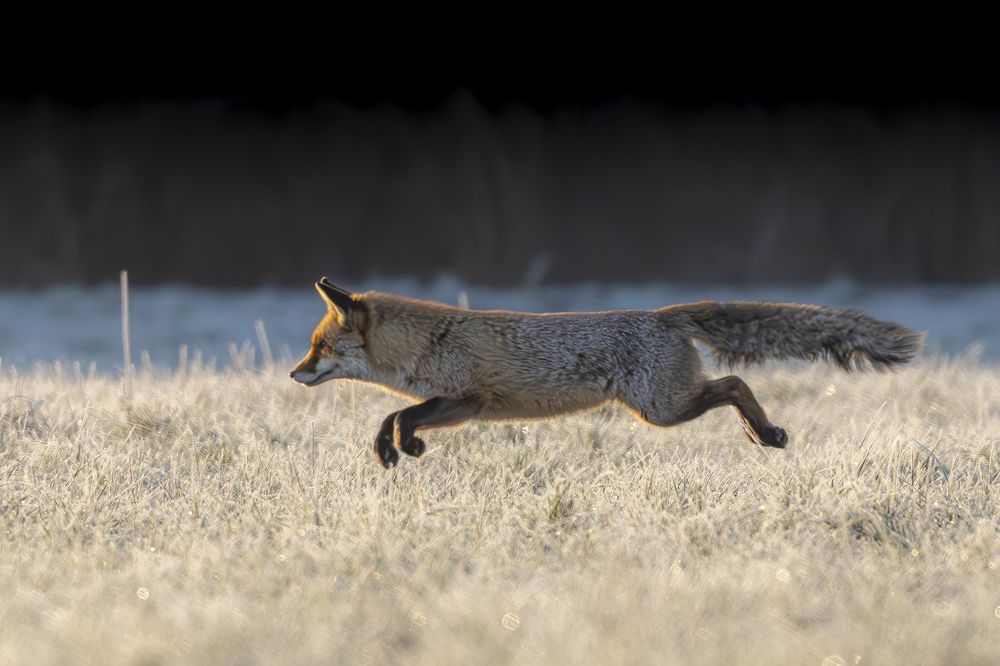 Photograph by Ellen Lichtenheldt