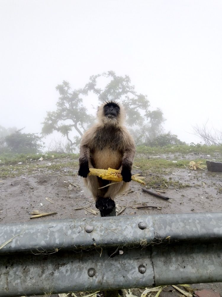 Photograph by sumit sitole