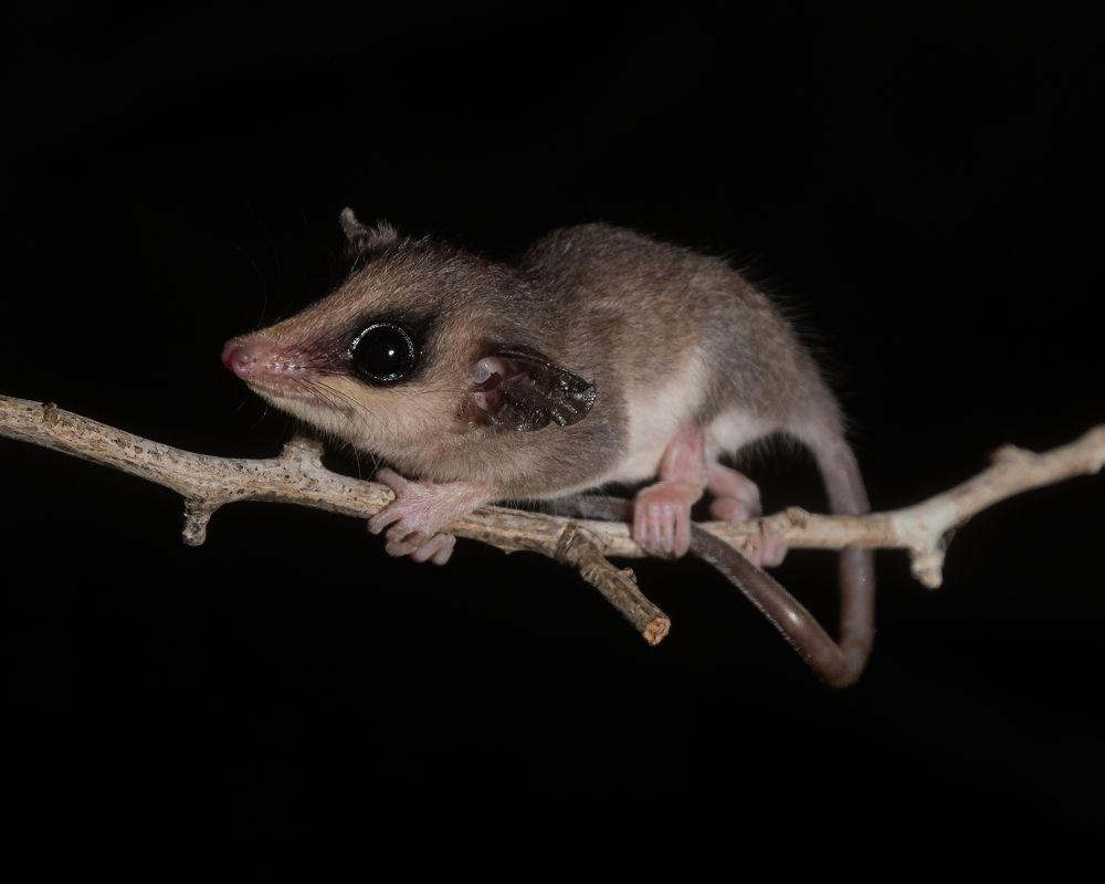 Photograph by Joel Nava