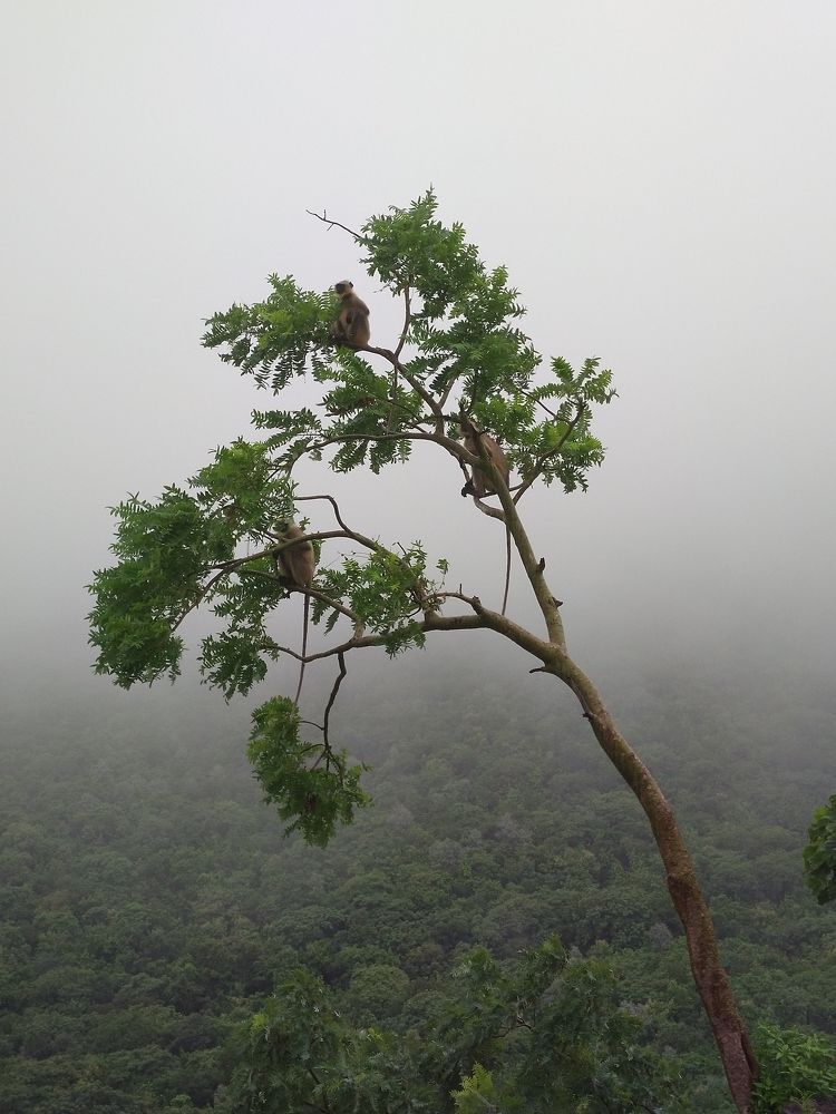 Photograph by sumit sitole