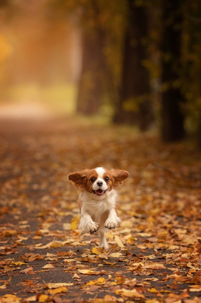 Photograph by Валентина Князева