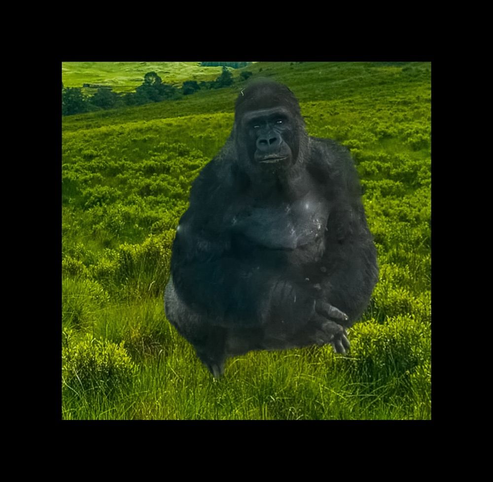 Фотография автора Sarrah Yehia