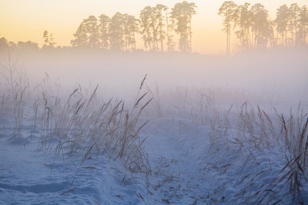 Photograph by Елена