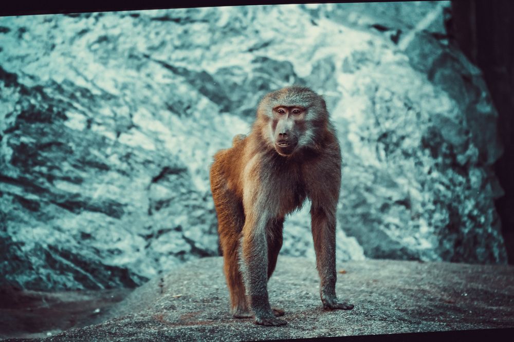 Фотография автора Ruslan Badykov