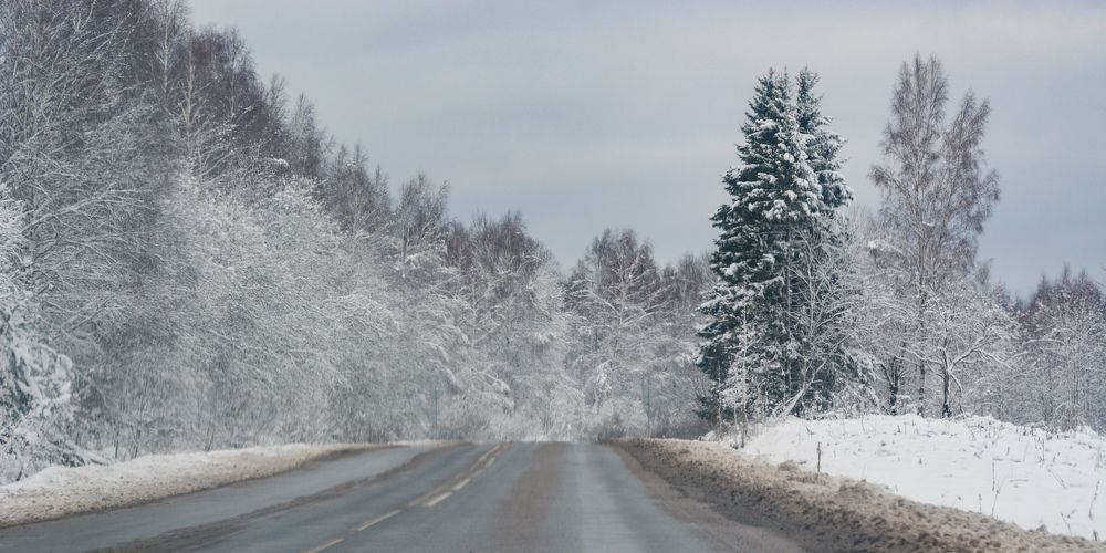 Photograph by Анастасия Гурова