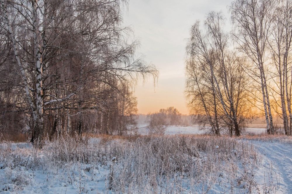 Photograph by Елена