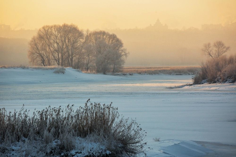 Photograph by Елена