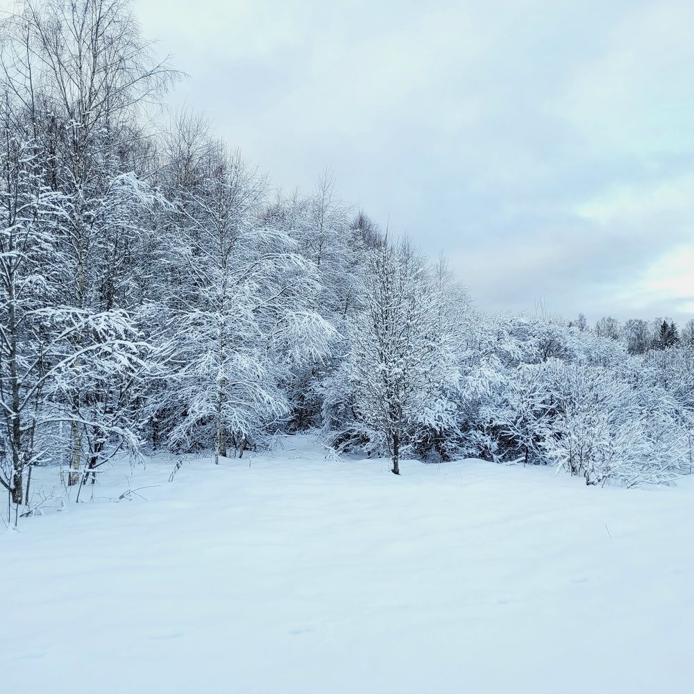 Photograph by Oksana Sabeleva