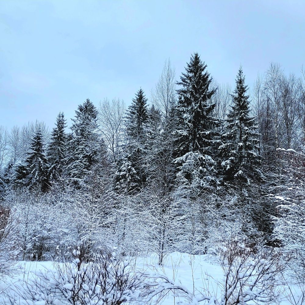 Photograph by Oksana Sabeleva