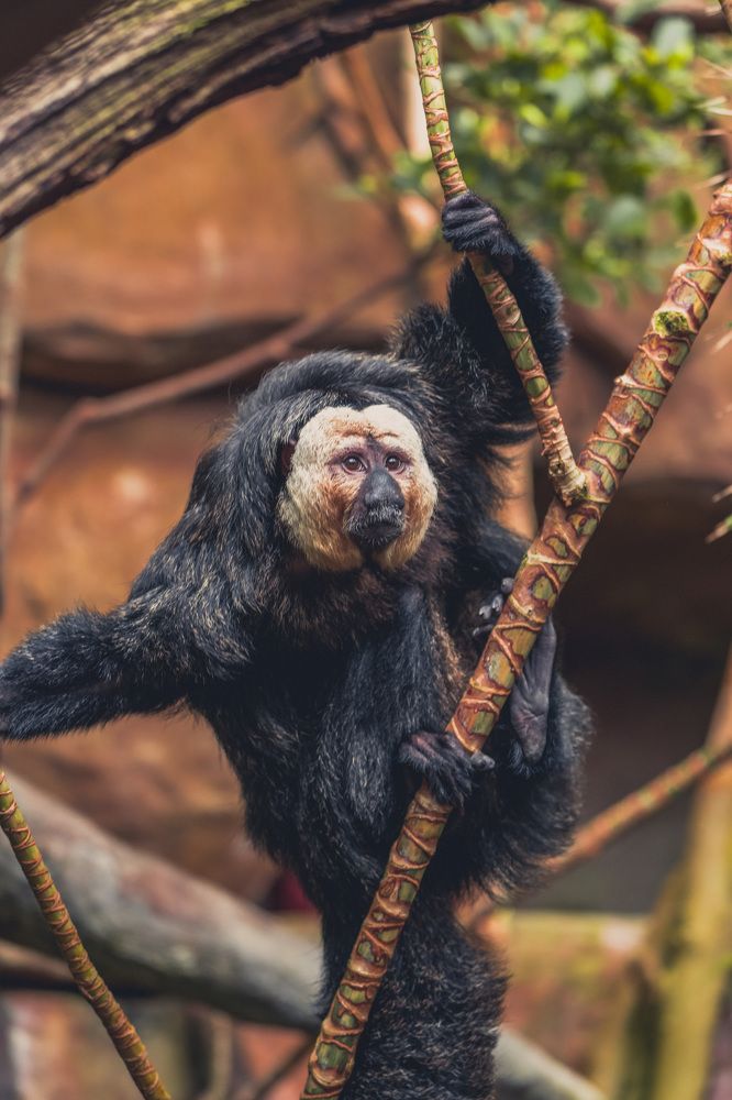 Фотография автора Ruslan Badykov