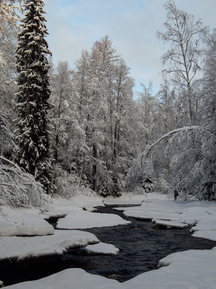 Photograph by Карина Заводчикова