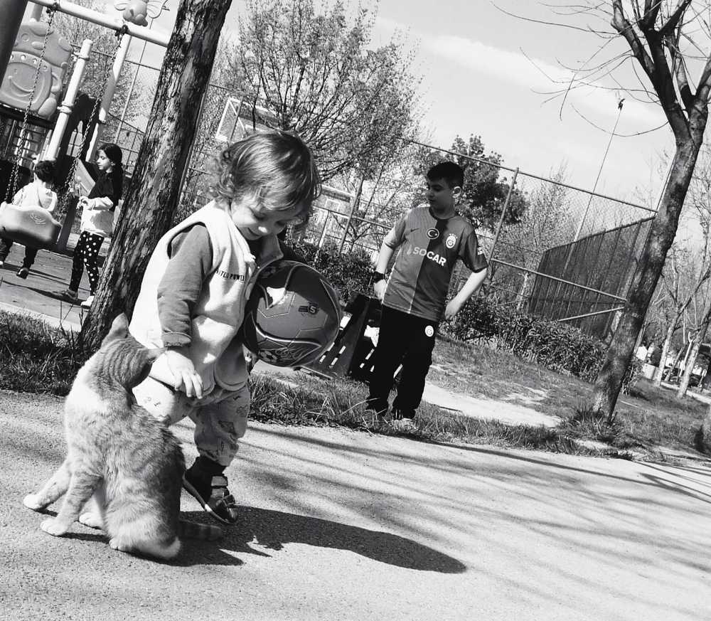 Photograph by Asiyenur Hazır