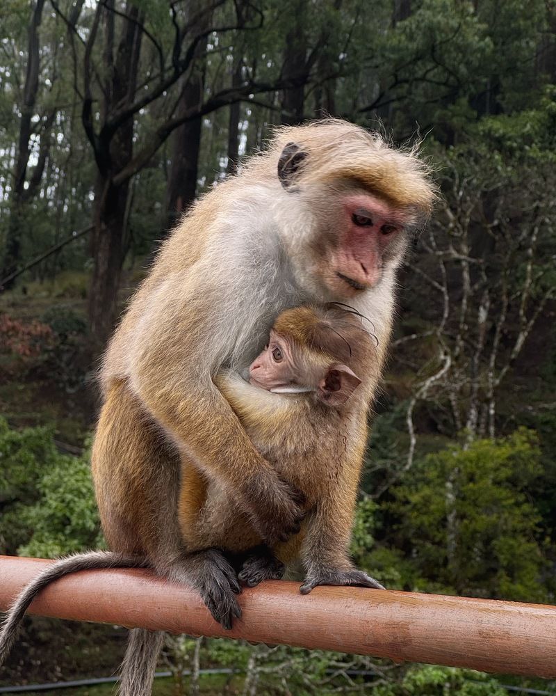 Фотография автора Евгения Никишина