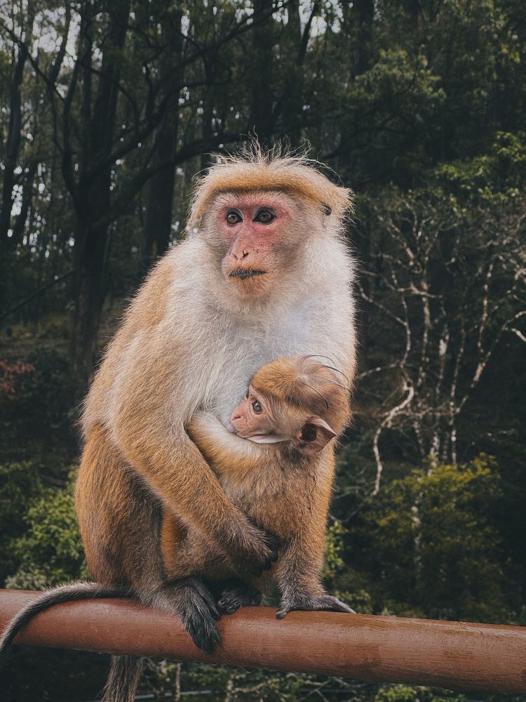 Фотография автора Евгения Никишина