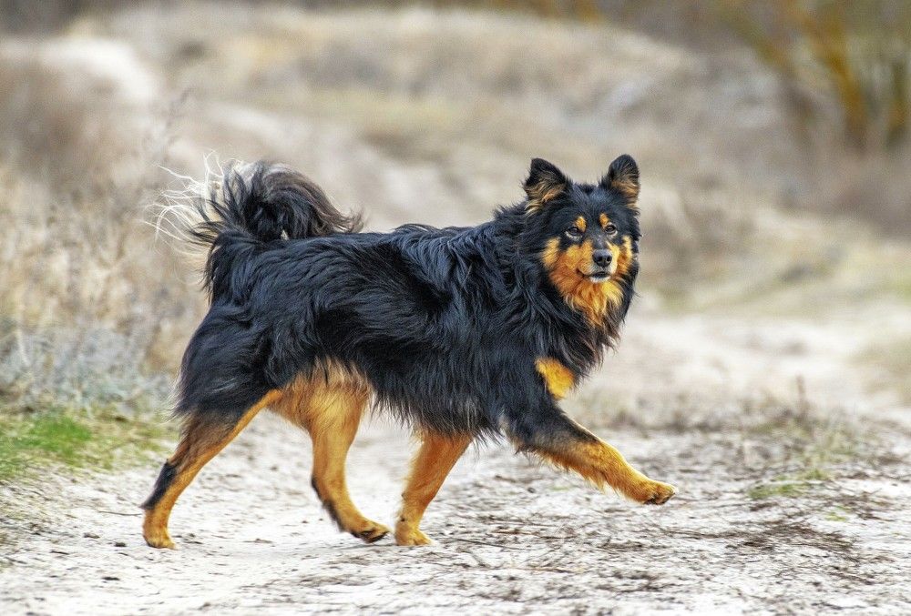 Photograph by Сиваков Алексей