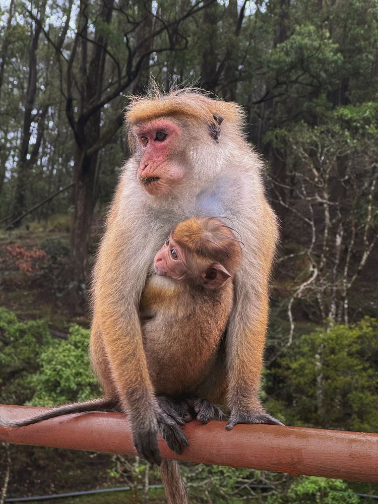 Фотография автора Евгения Никишина