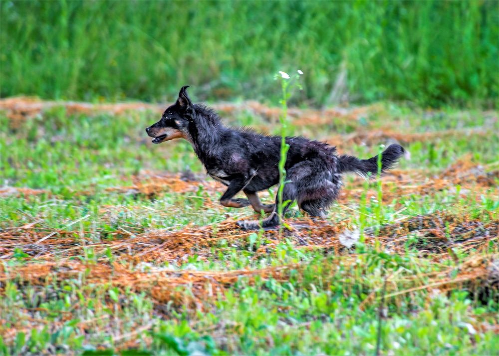 Photograph by Сиваков Алексей