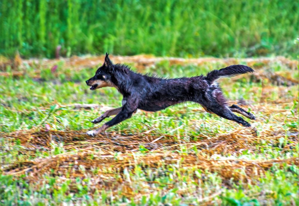 Photograph by Сиваков Алексей