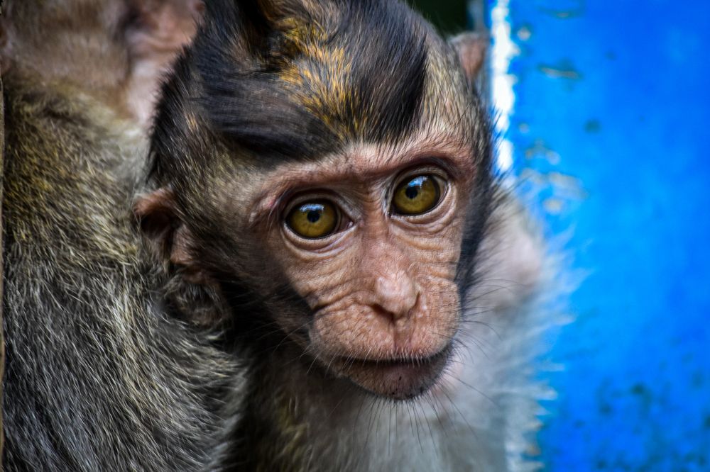 Photograph by Olga Arune