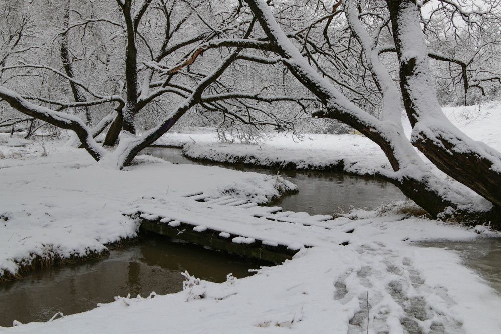 Photograph by Татьяна Панчешная