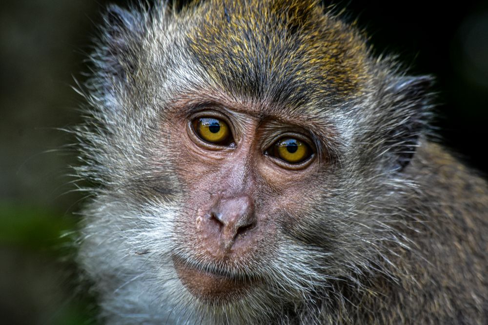 Photograph by Olga Arune