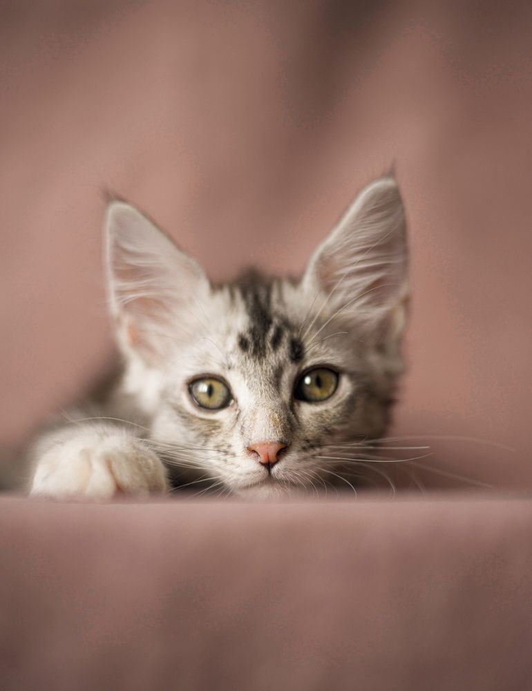 Photograph by Анна