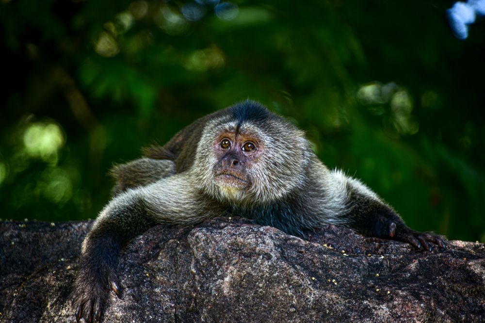 Photograph by Olga Arune