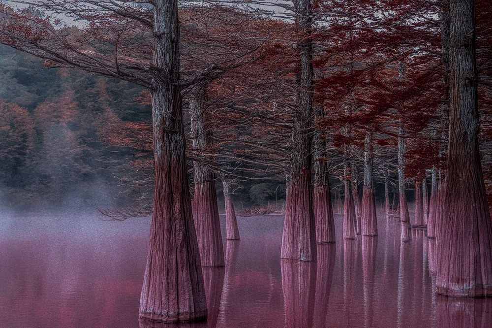 Photograph by Нелли