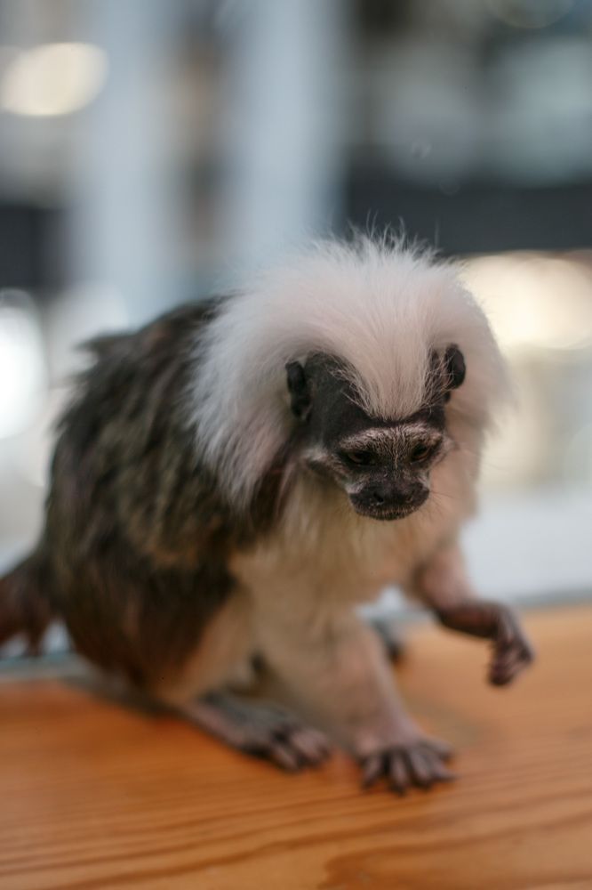 Photograph by Нелли