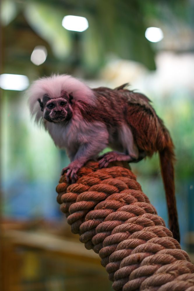 Photograph by Нелли