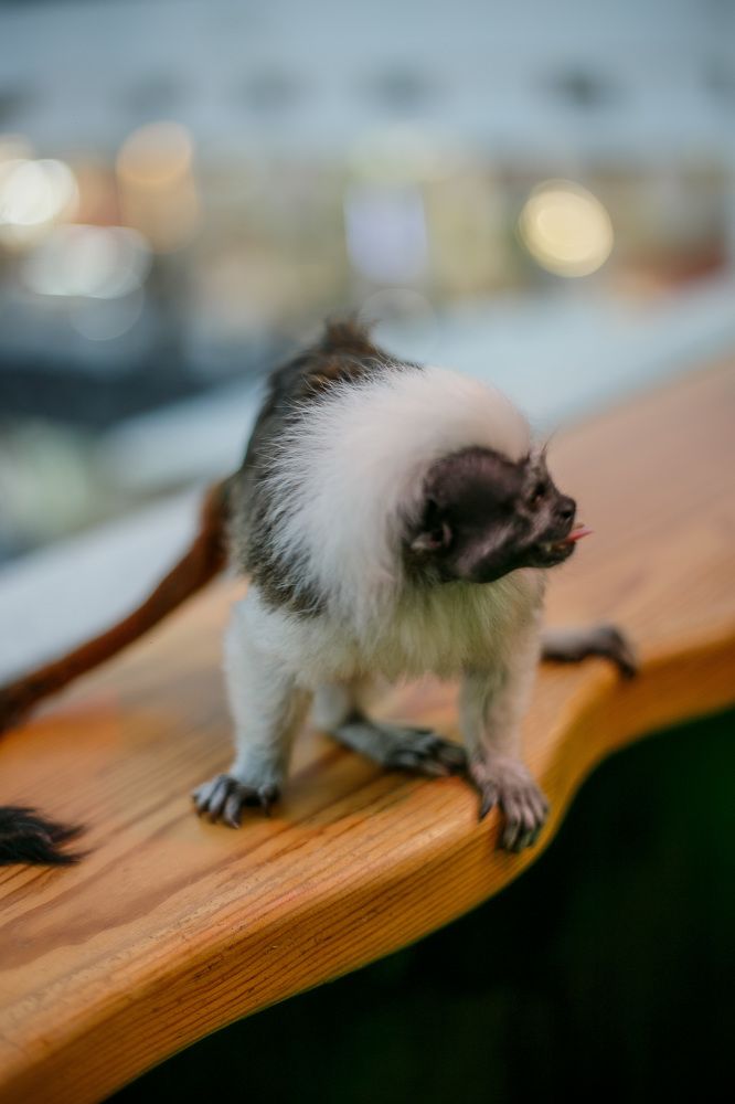 Photograph by Нелли