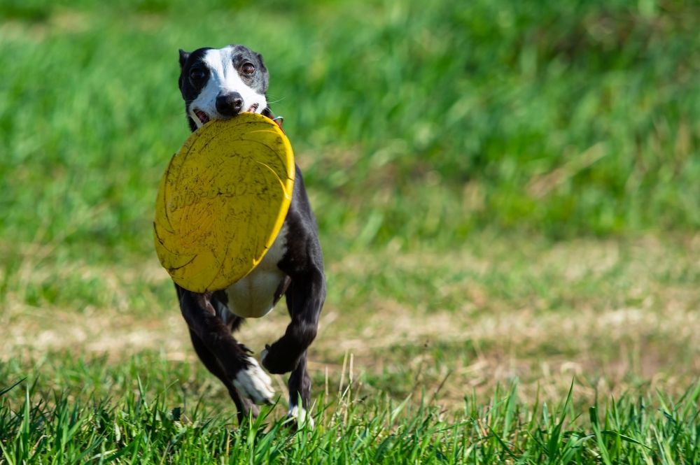 Photograph by Taras Shevchenko