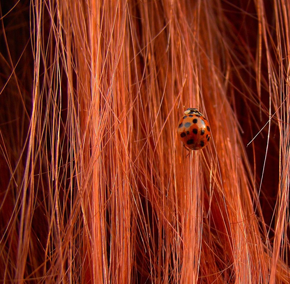 Photograph by Zakharov Matvey