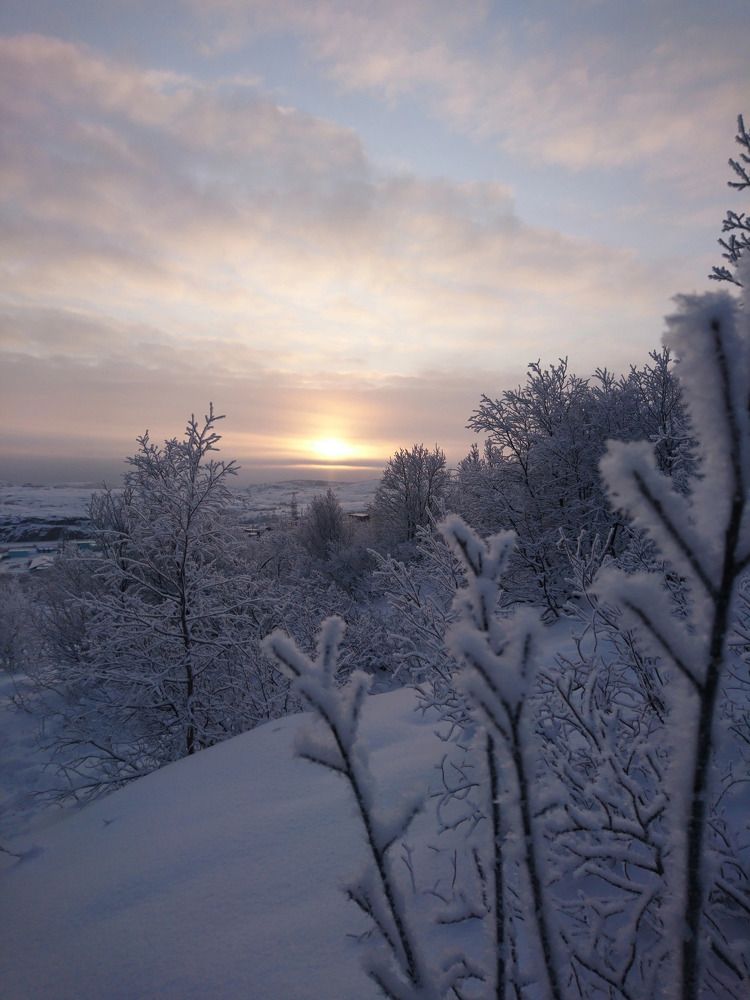 Photograph by Ольга Желтова